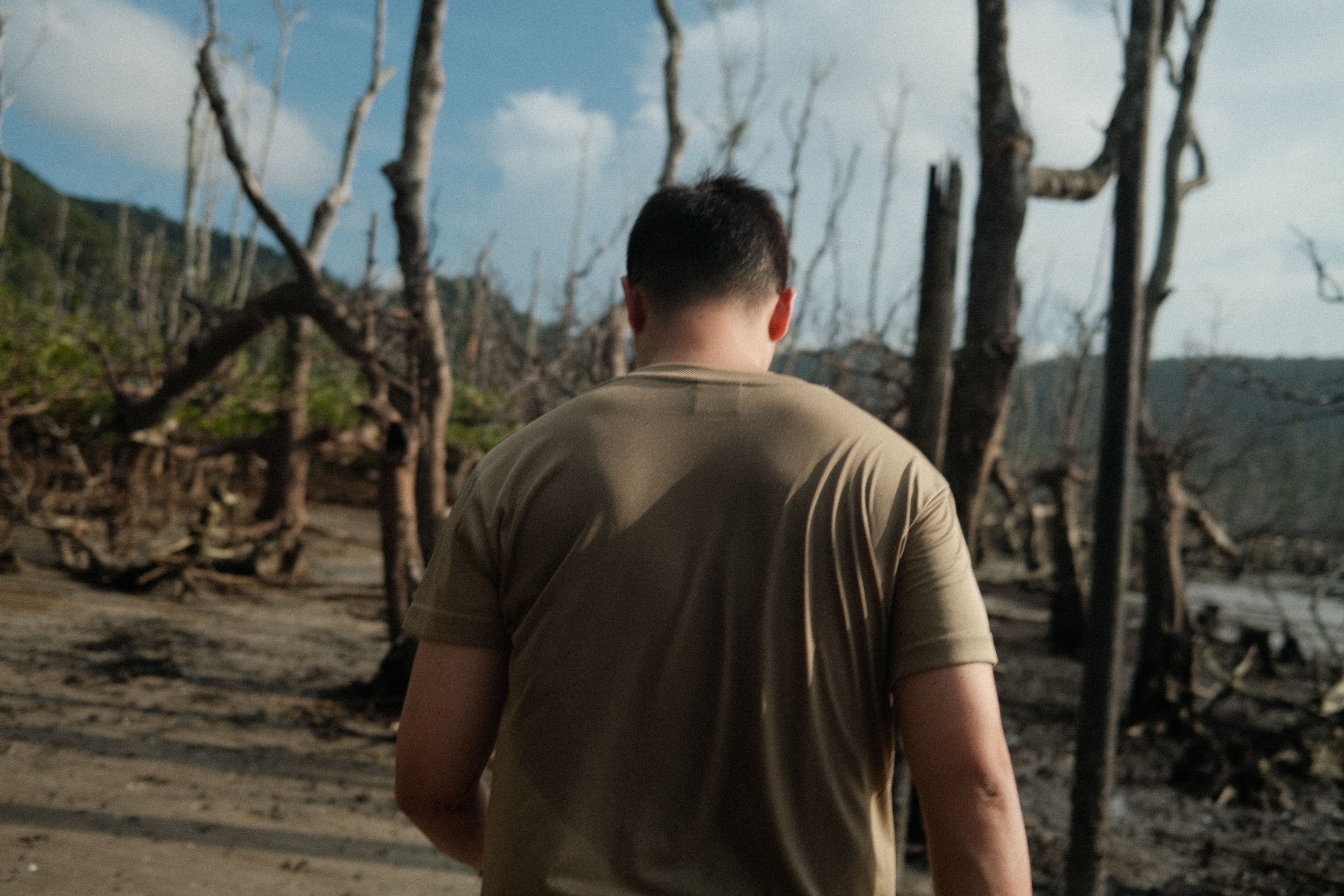 bako-mangrove-forest